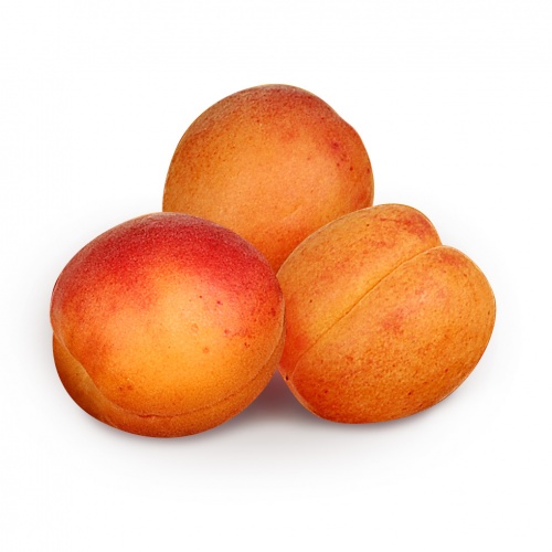 abricots-2
