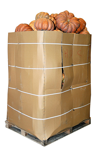 courges-muscade-vrac-box-1-t-2