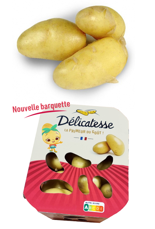 delicatesse-barquette
