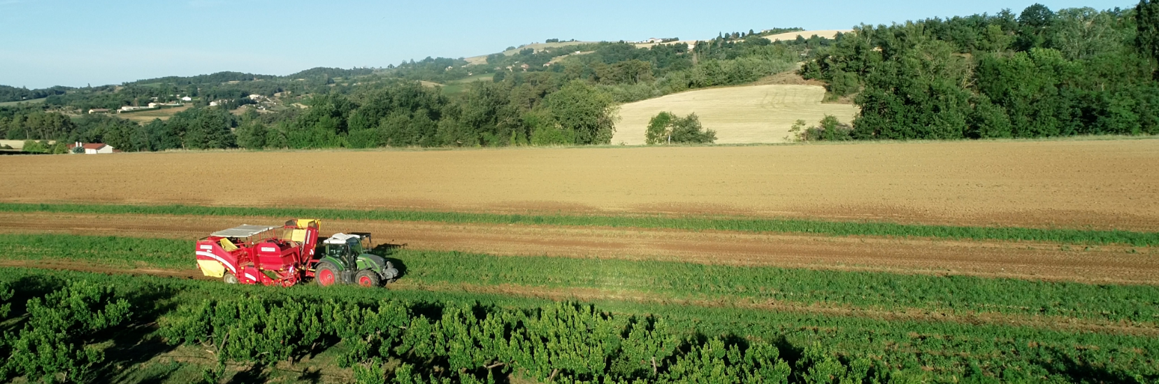 producteur-grandeur-nature