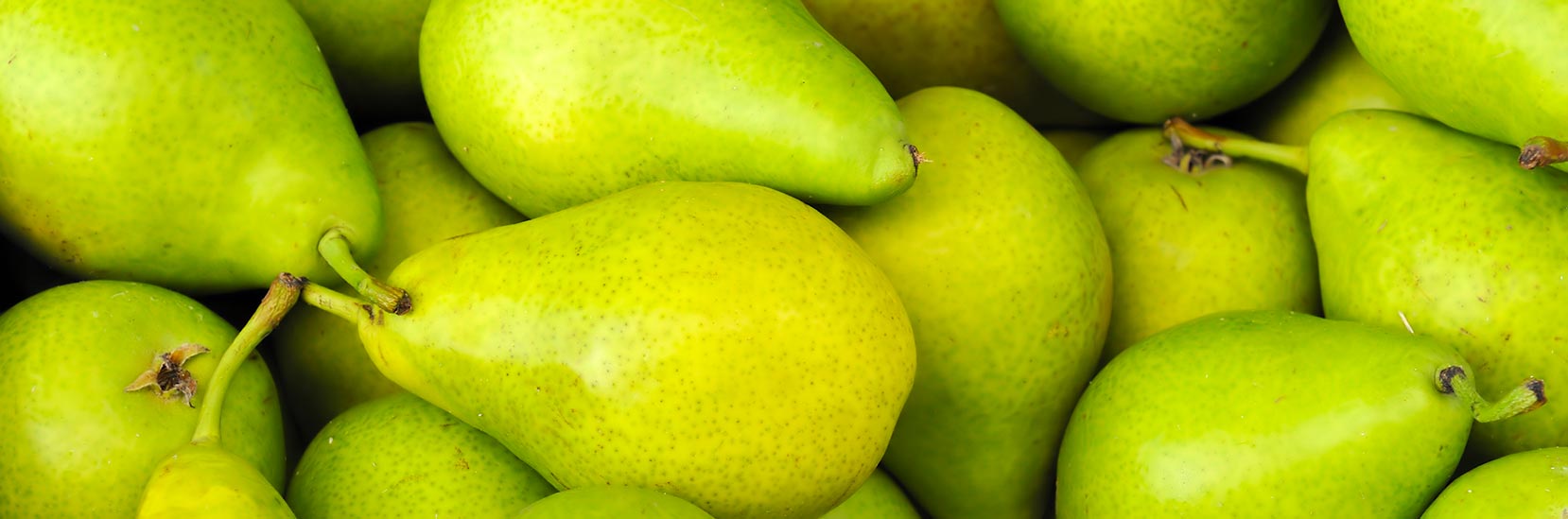 producteur-poire poires